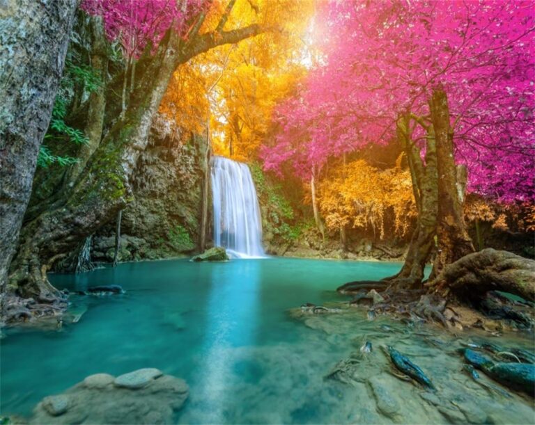 Cuáles son las mejores capas para la lluvia que ofrece Sodimac 11 capa de lluvia colorida en paisaje natural