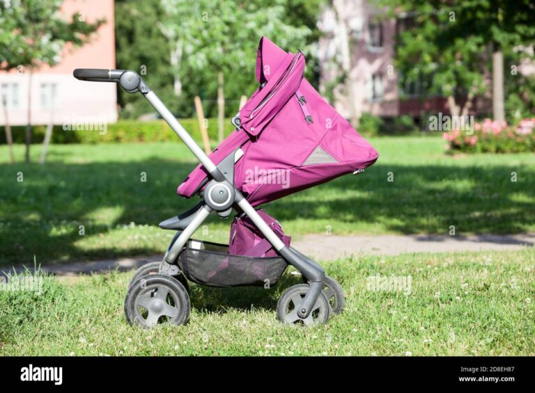 Qué caracterÃsticas destacan del coche paragua Bebesit rosado 9 cochecito rosa bebesit en un parque