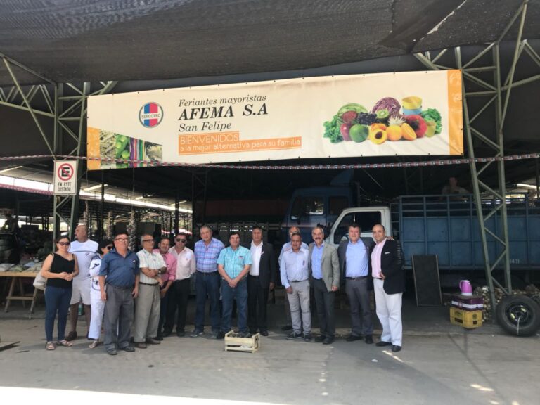 feria mayorista en san felipe chile