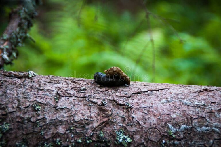 olor a caca en la naturaleza
