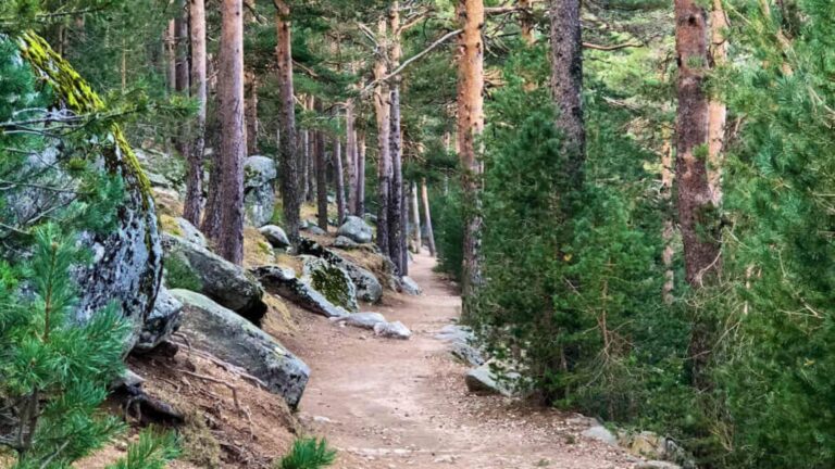 Cuánto dura el recorrido en Alto el Naranjo 29 sendero rodeado de naturaleza en montana