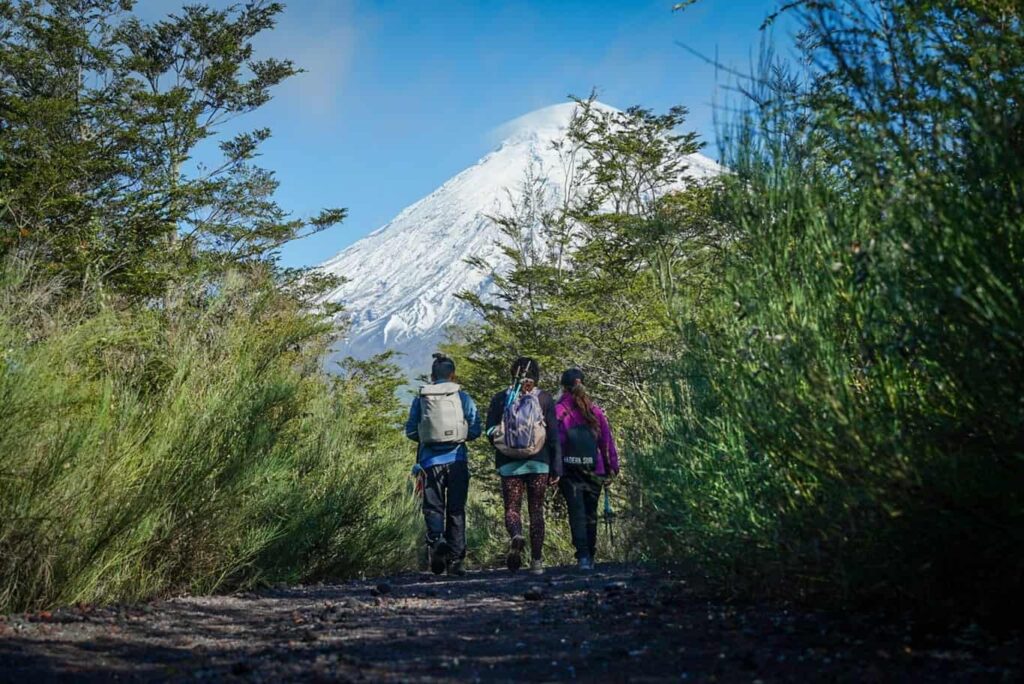 Dónde comprar el mejor set de mate en Chile Guía completa 1 set de mate en un entorno chileno